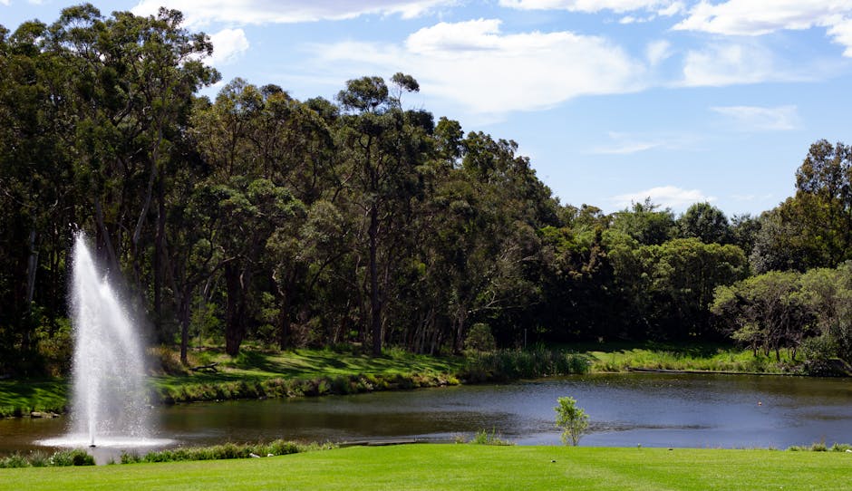 A serene outdoor scene featuring a small lake surrounded by lush green grass and dense trees under a partly cloudy sky. A tall water fountain is positioned on the left side of the lake, shooting a vertical stream of water into the air. The trees cast gentle shadows across the landscape, and the overall environment appears calm and natural. This setting exemplifies an outdoor area suitable for house relocation preparations, with ample space for loading or unloading furniture and moving boxes, or could be part of a property where a Man with Van Oakleigh Park may assist with moving logistics in a scenic environment.