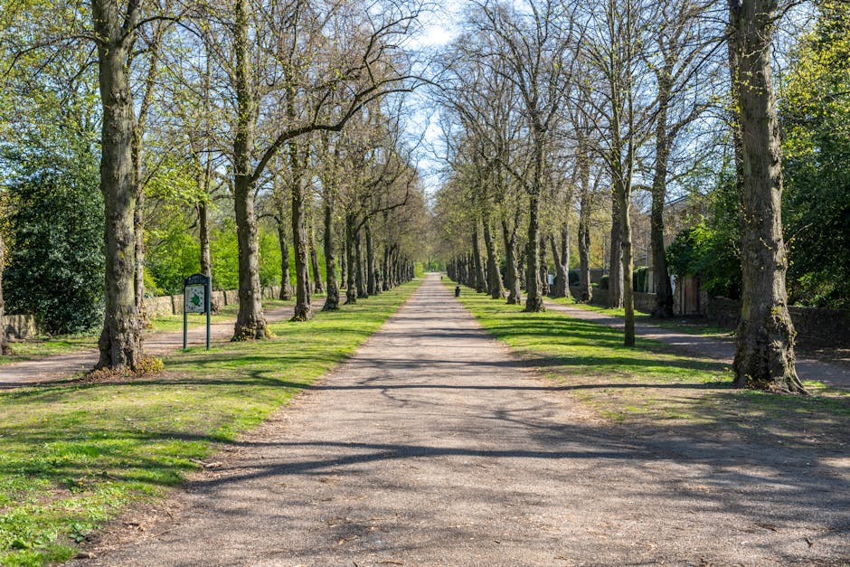 A residential street in Oakleigh Park during daytime, showing several terraced and semi-detached houses with brick facades and pitched roofs, some with chimneys. A streetlamp on a tall pole is positio