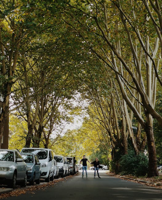 A quiet, tree-lined residential street with a paved road surface marked with white dashed lines along the centre, flanked by tall trees with fresh green leaves on both sides. The trees cast partial shadows on the road, indicating dappled sunlight. On the right side, there are evenly spaced street lamps, and a narrow grassy verge separates the pavement from the road. The scene suggests a peaceful environment suitable for home relocations or furniture transport, with no visible vehicles or people present. The image captures the orderly and serene atmosphere of a typical suburban street, supporting the theme of house removals, packing, and moving logistics as highlighted in the Oakleigh Road North Removals page by Man with Van Oakleigh Park.