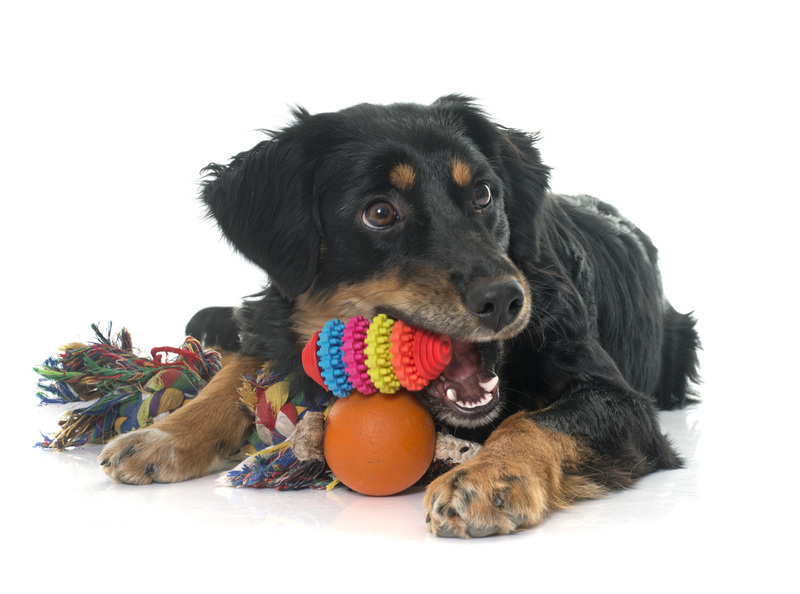 Moving companies boxes